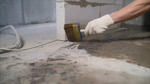 Top rated local Waterproofing specialists in Thorn Hill, TN